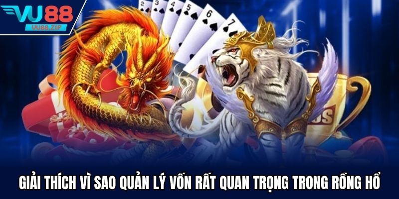 Giải thích vì sao quản lý vốn rất quan trọng trong rồng hổ