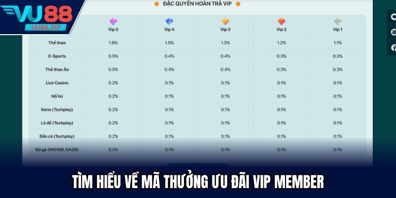 Tìm hiểu về mã thưởng ưu đãi VIP member