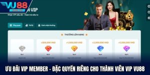 Ưu Đãi VIP Member - Đặc Quyền Riêng Cho Thành Viên VIP Vu88