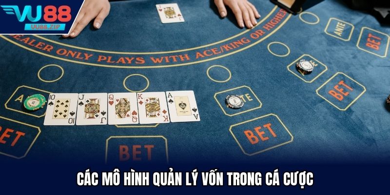 Các mô hình quản lý vốn trong cá cược