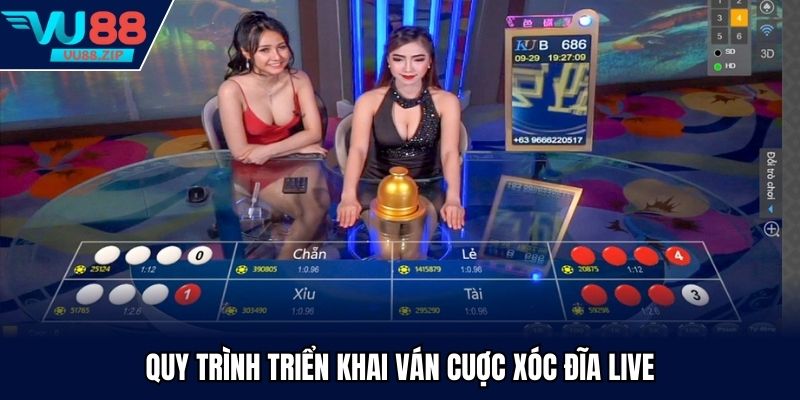 Quy trình triển khai ván cuợc xóc đĩa live